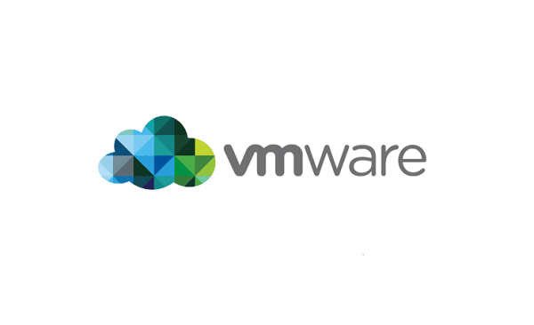 VMware vCenter Converter Standalone Virtual Machine Converter İşlemi