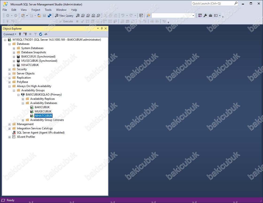 instal the last version for windows SQL Backup Master 6.3.621