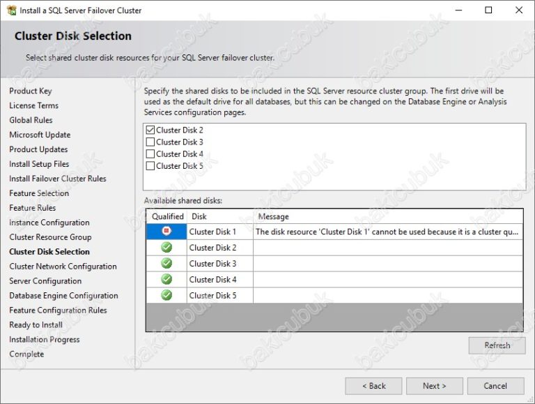 Clustered disk