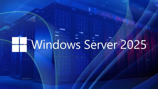 Windows Server 2025 Active Directory Domain Services Kurulumu